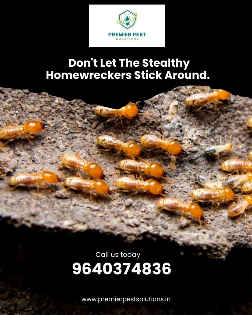 Termite Treatment for Wooden Furniture in Hyderabad