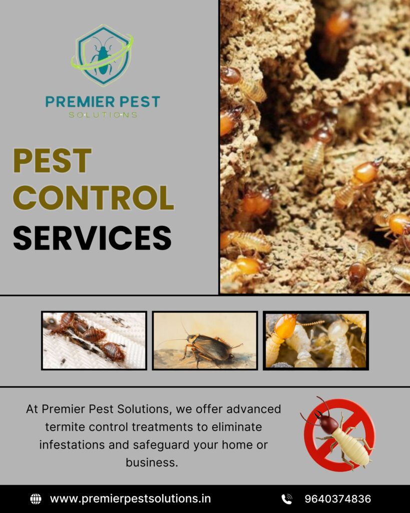 Signs You Need Termite Treatment in Your Home