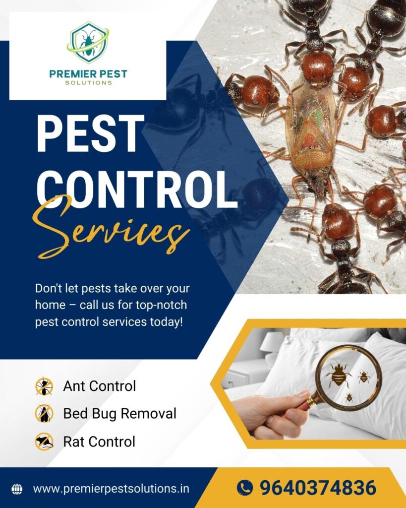 Effective Ant Control Solutions in Hyderabad – Safe & Affordable