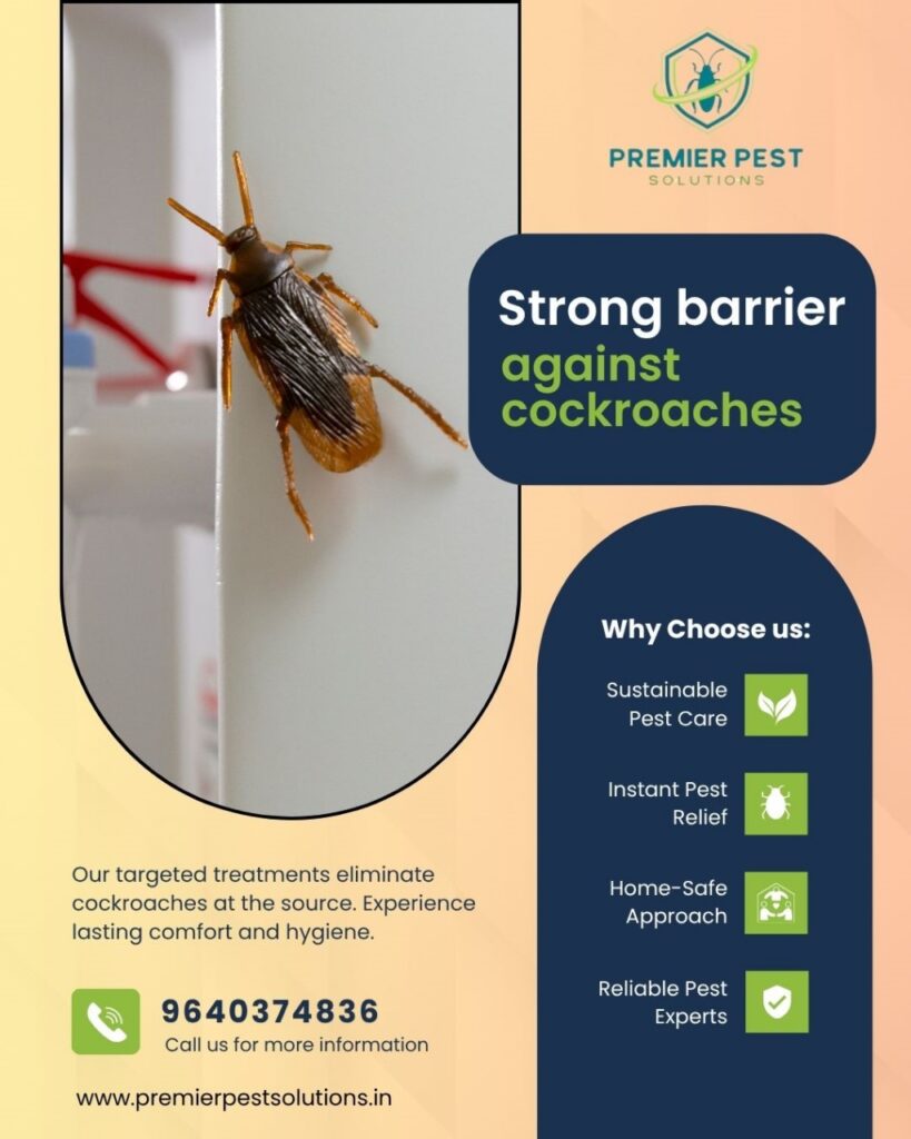 Cockroach Pest Control in Hyderabad 