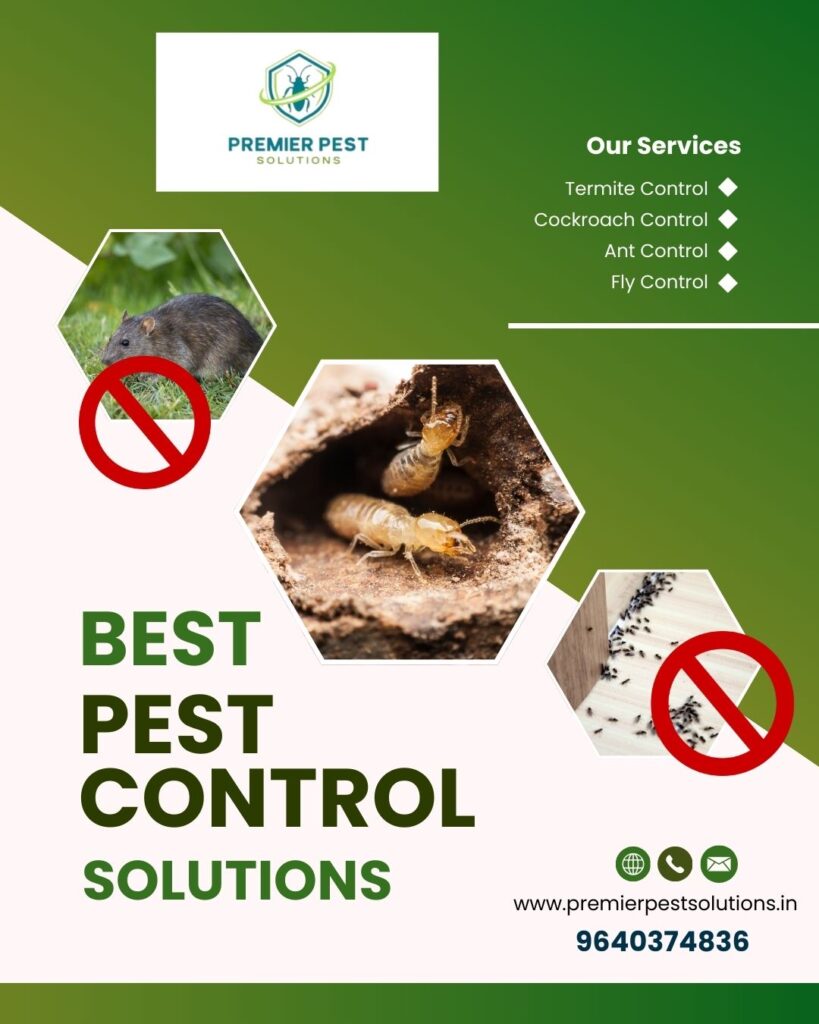 Termite Treatment for Wooden Furniture in Hyderabad