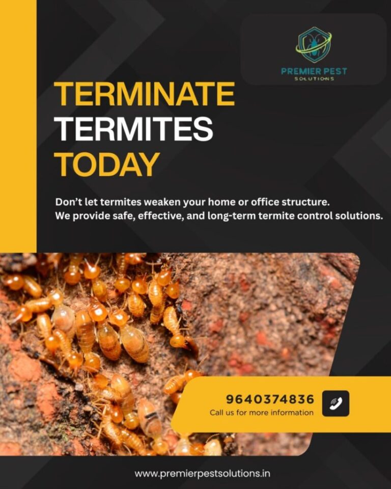 Pre vs Post Construction Termite Control Guide - premierpest