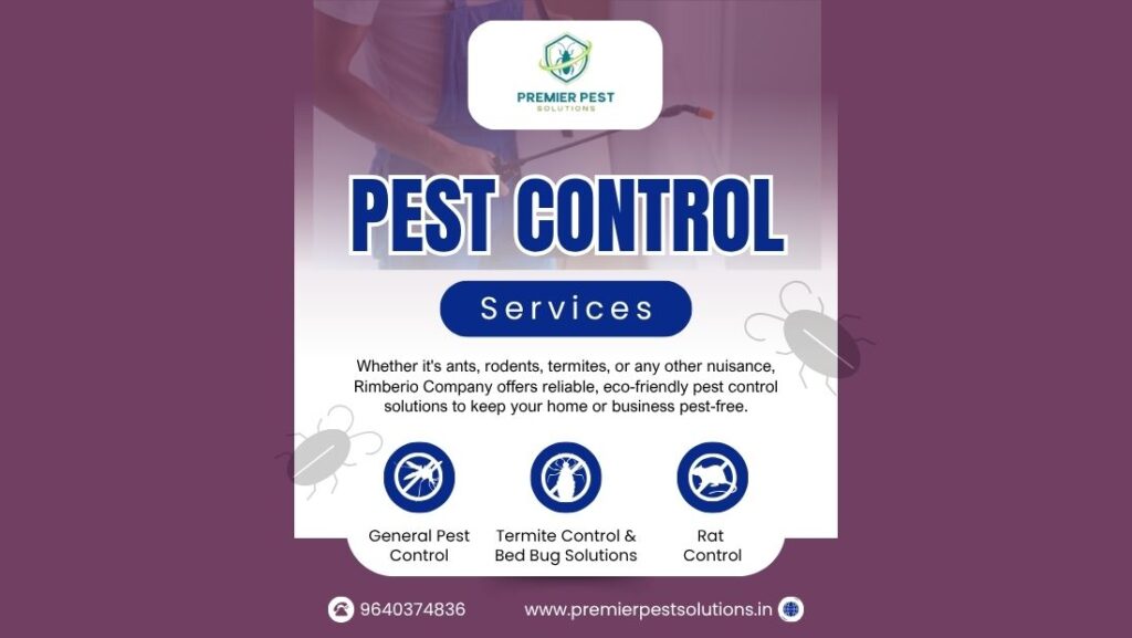 Termite Treatment for Wooden Furniture in Hyderabad