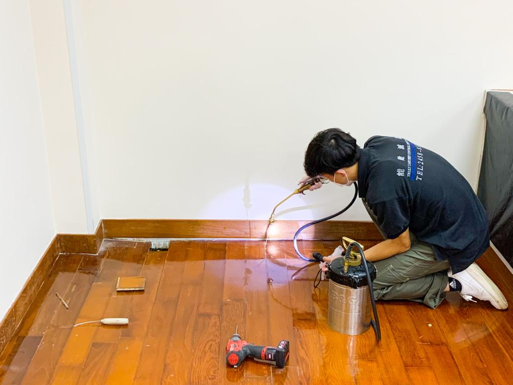 How to Protect Wooden Furniture from Termite Damage