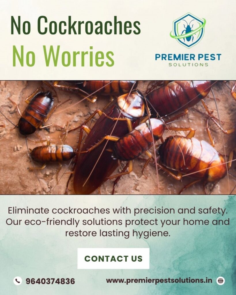 Cockroach Control Services for Villas in Hyderabad | Safe & Odorless Treatment