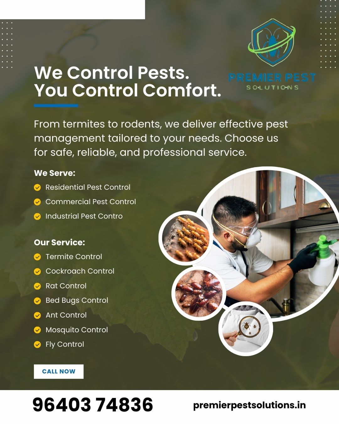 Best Cockroach Control Services in Hyderabad – Safe, Odorless
