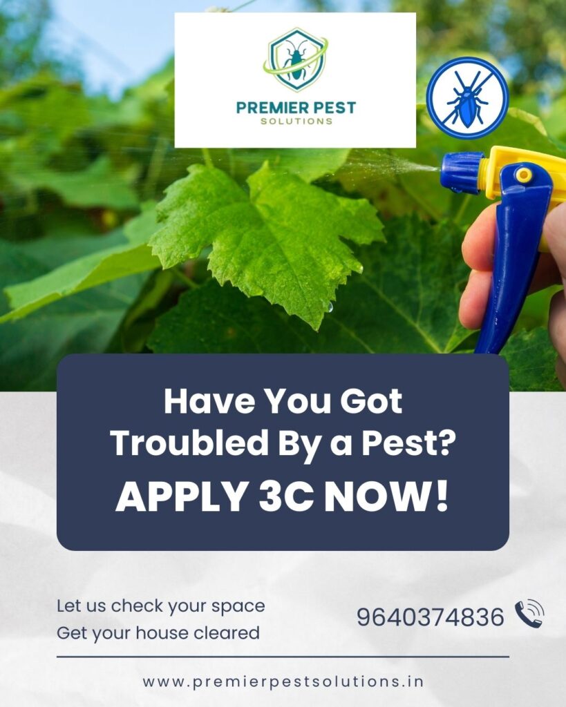 Best Mosquito Prevention Tips for Hyderabad Residents