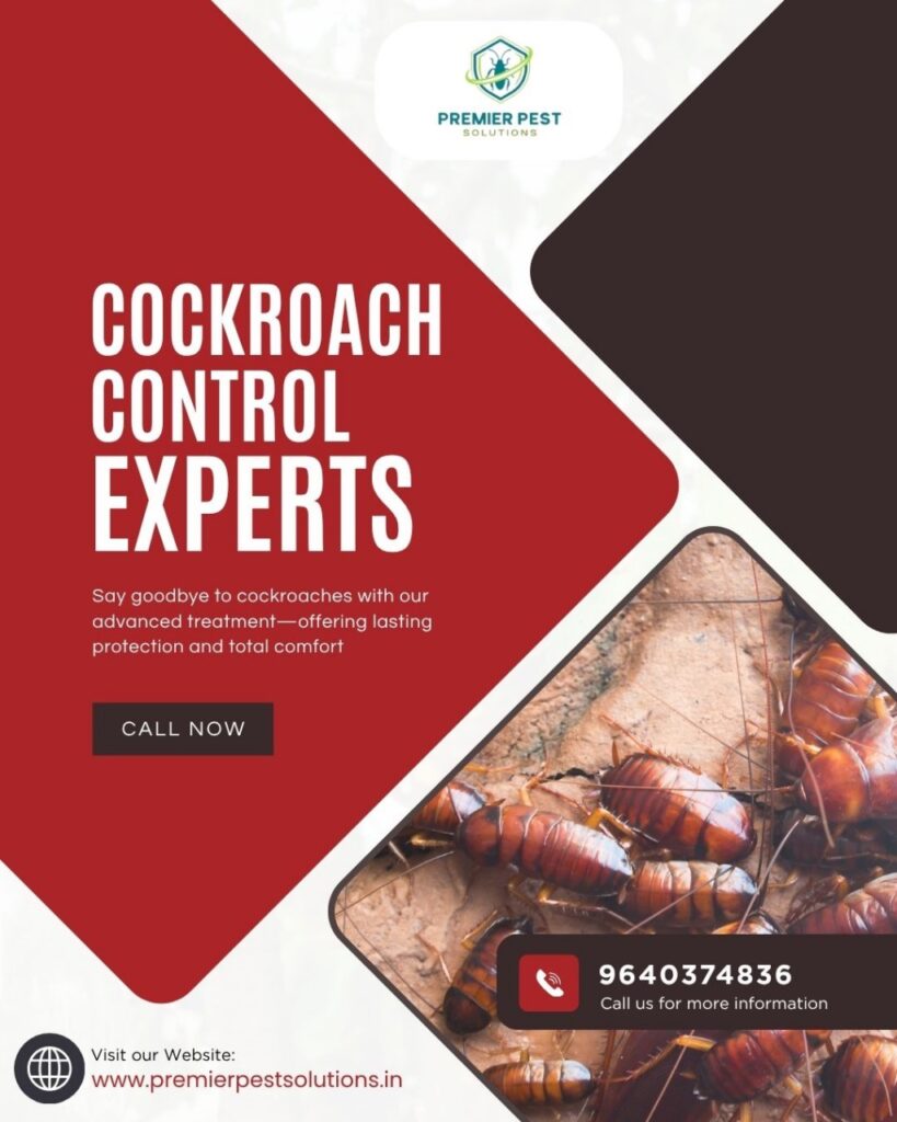 Cockroach Control Solutions