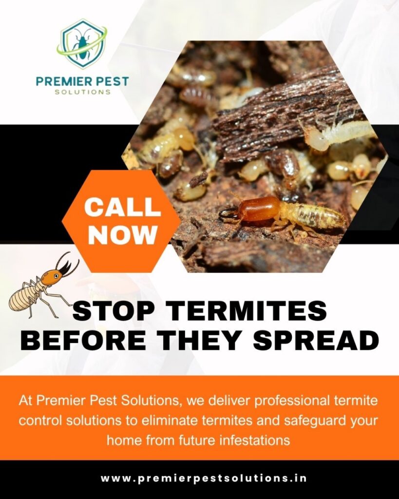 Local Pest Control Services in Hyderabad – Pest Solutions