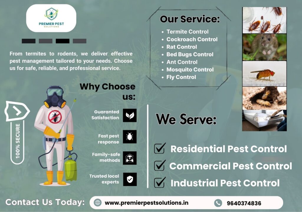 Termite Control AMC Services