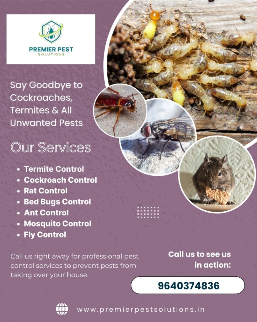Top Termite Control Services in Gajularamaram for Homes & Apartments