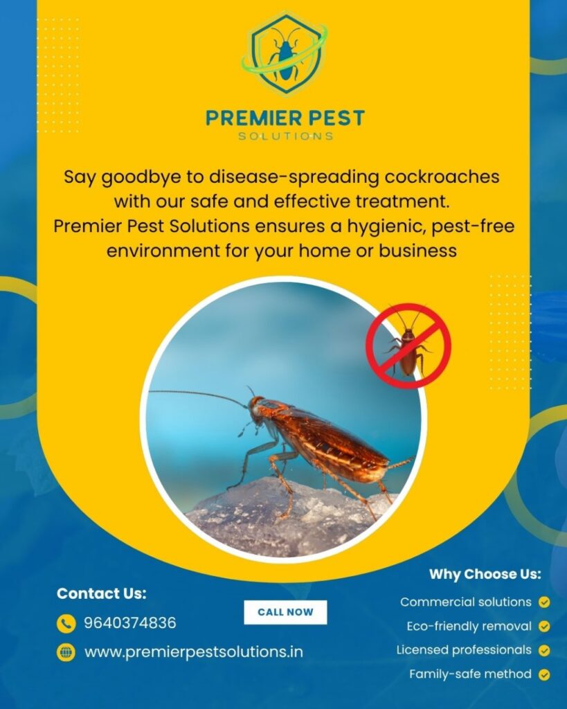Regular Cockroach Control for a Healthy Home in Hyderabad