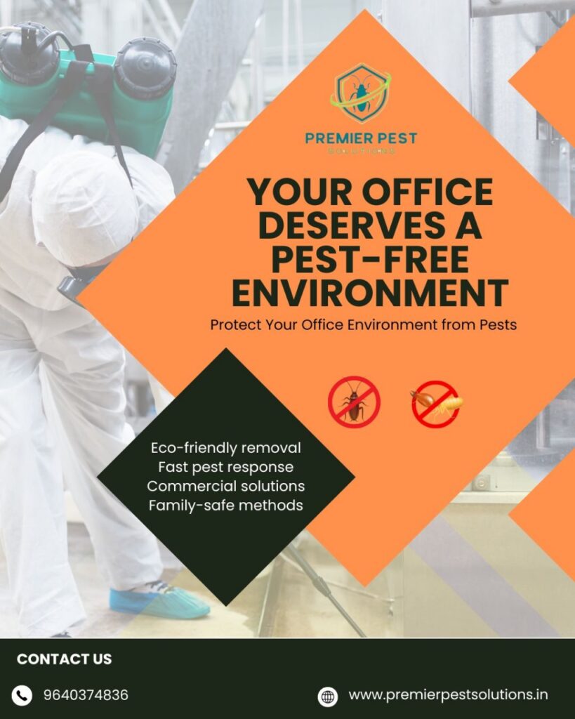 Best Termite Control Services Near Me