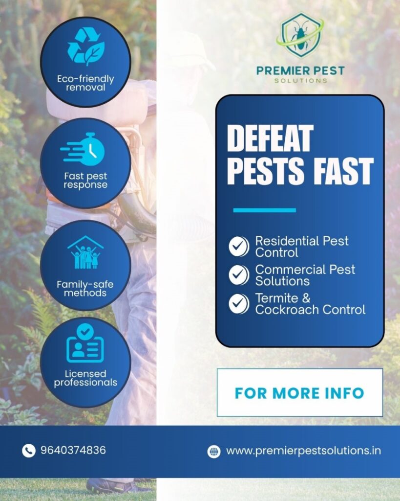 Termite Control Near Me in Secunderabad – Reliable & Long-Lasting Protection