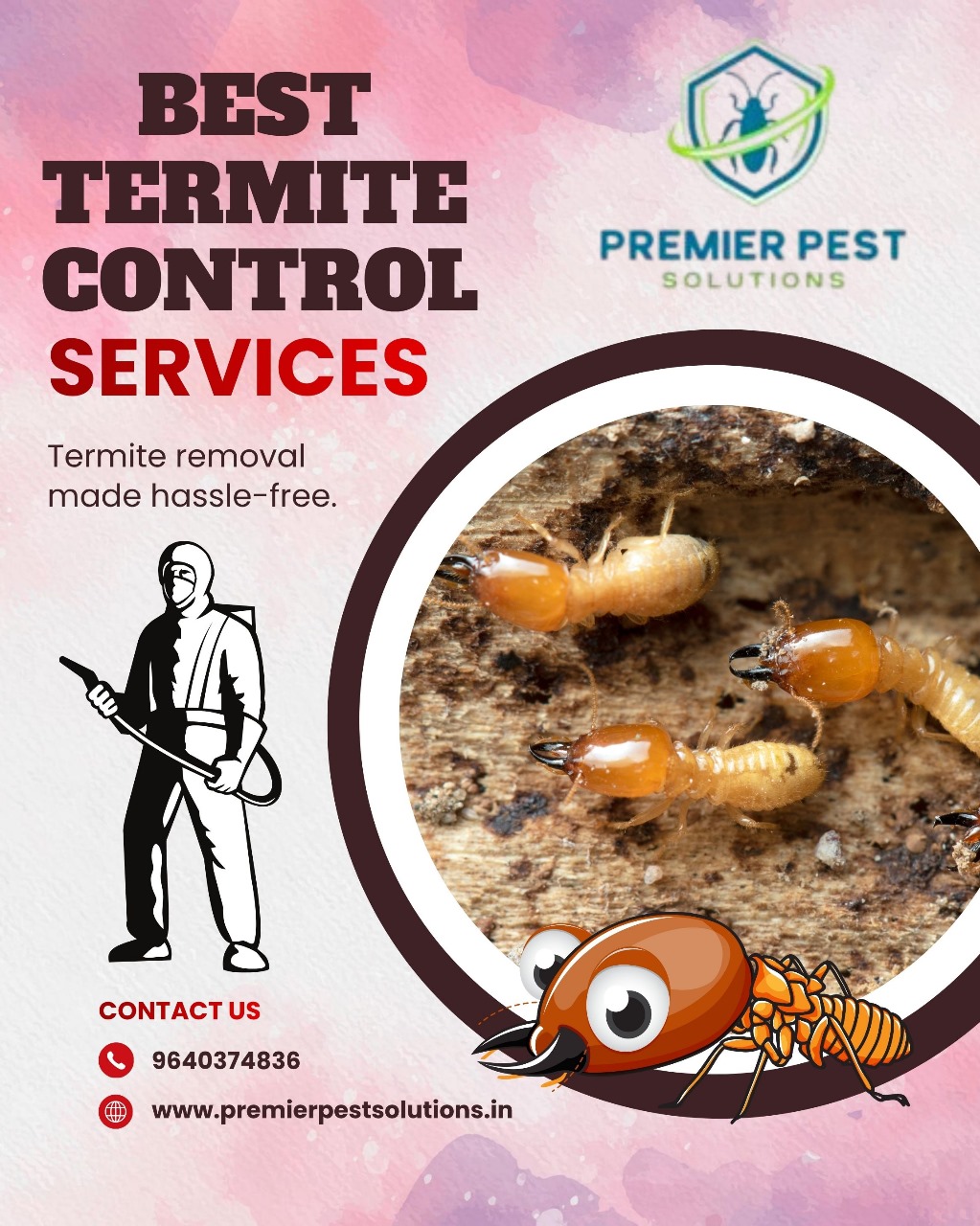 Termite Pest Control Services in Hyderabad – Long-Lasting