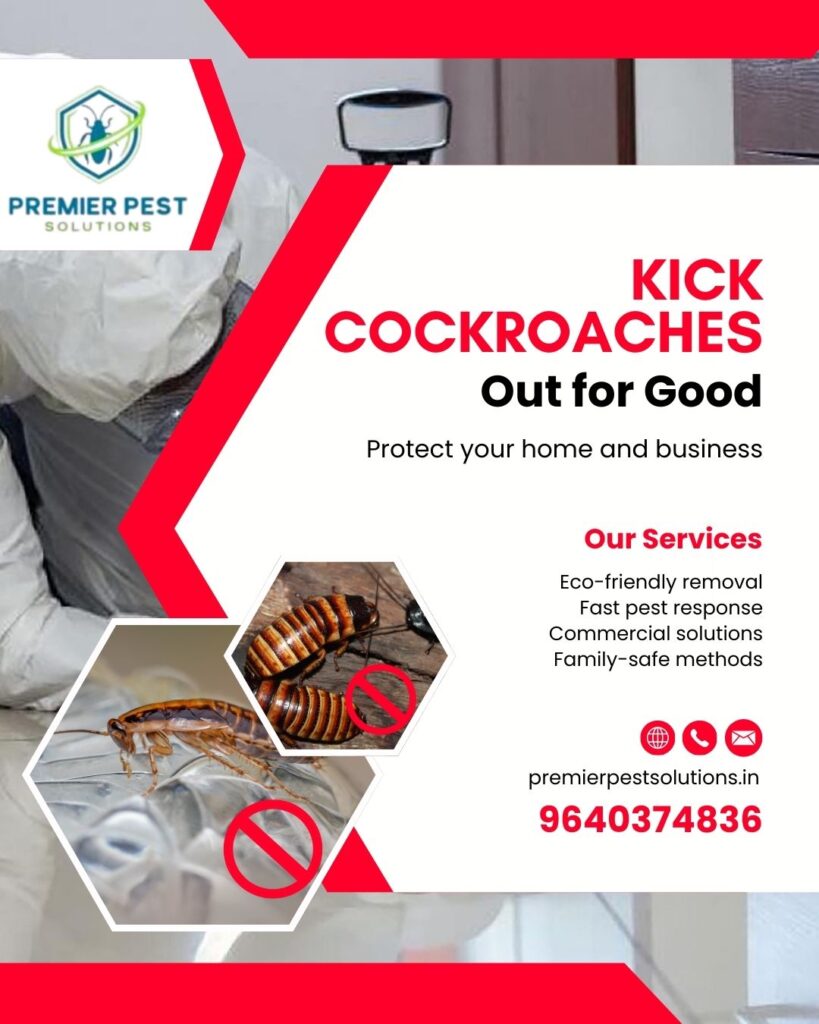 odorless cockroach treatment in Hyderabad 