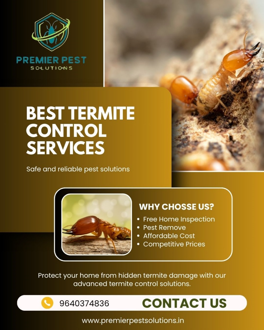 Termite Treatment for Old Buildings in Hyderabad –Restoration