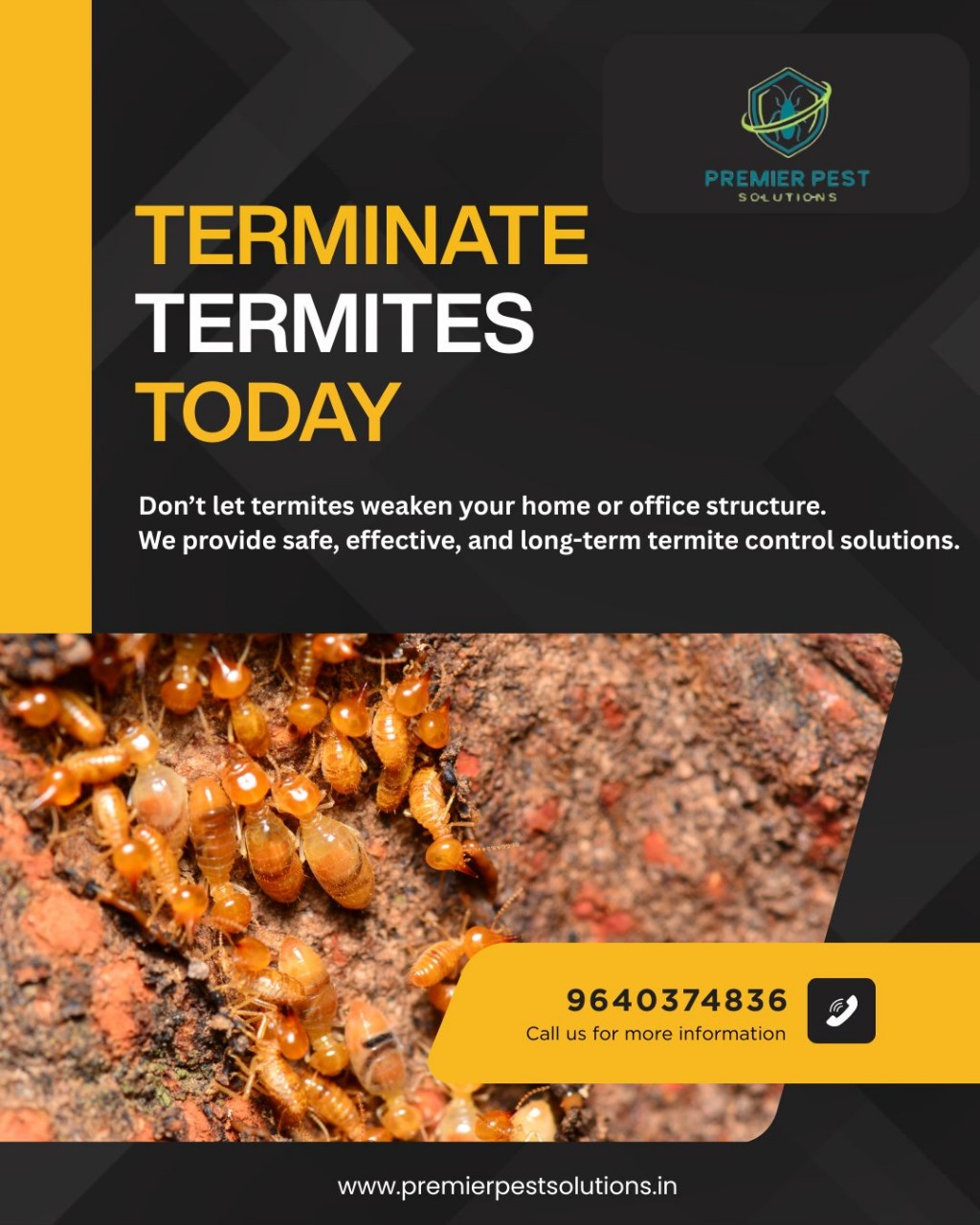 Cockroach Pest Control Services –Effective Solutions