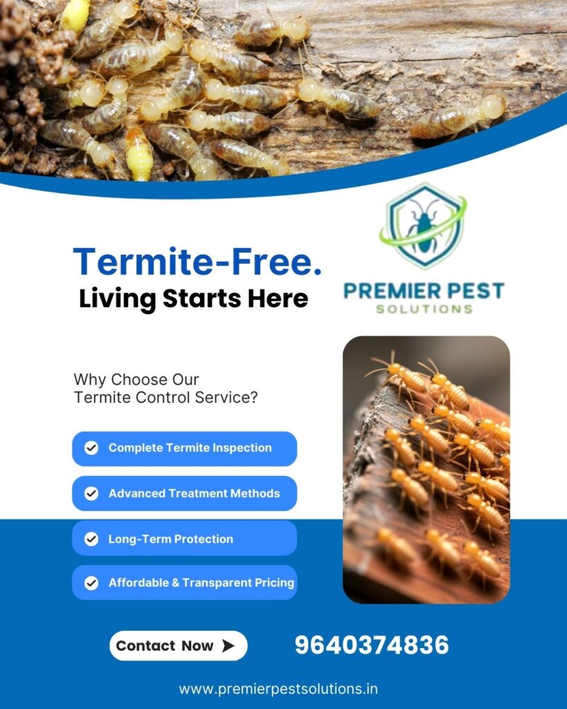 Termite Treatment for New Buildings