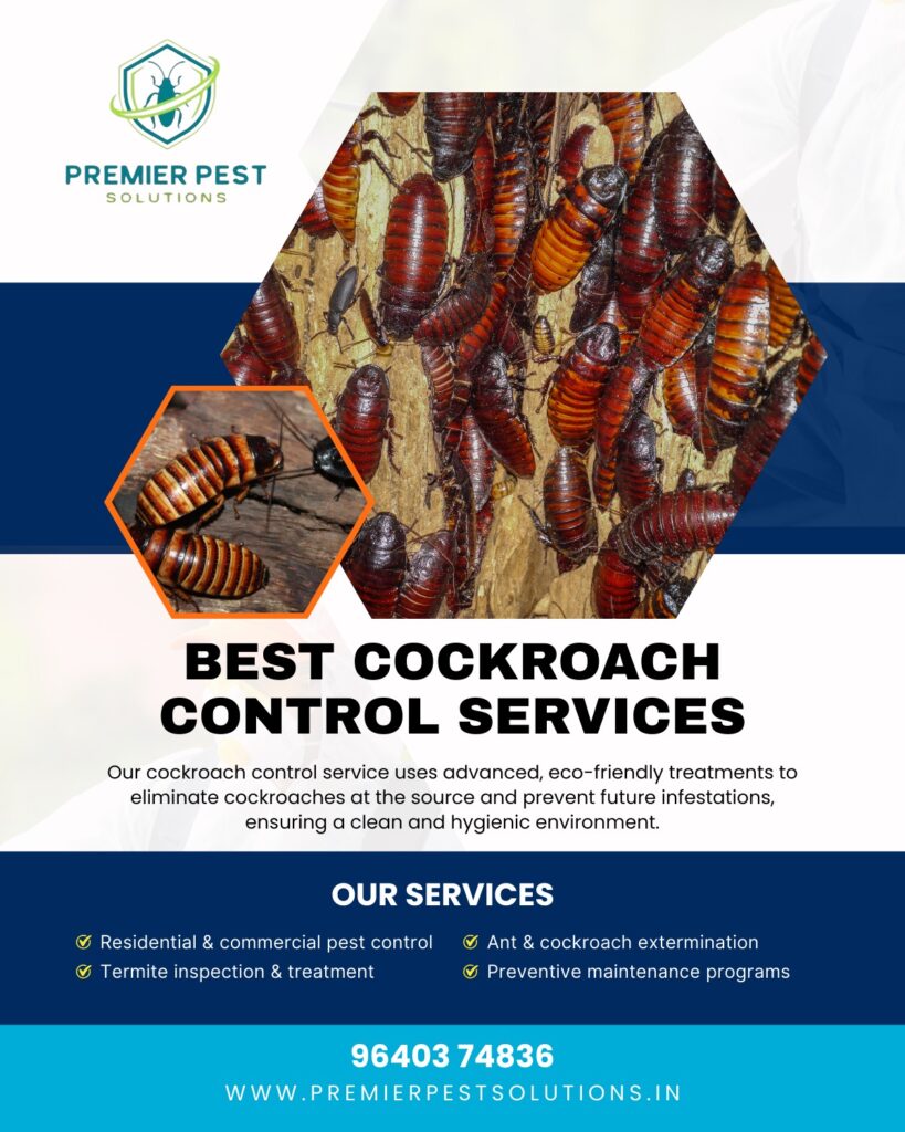 cockroach pest control services in Bachupally. 