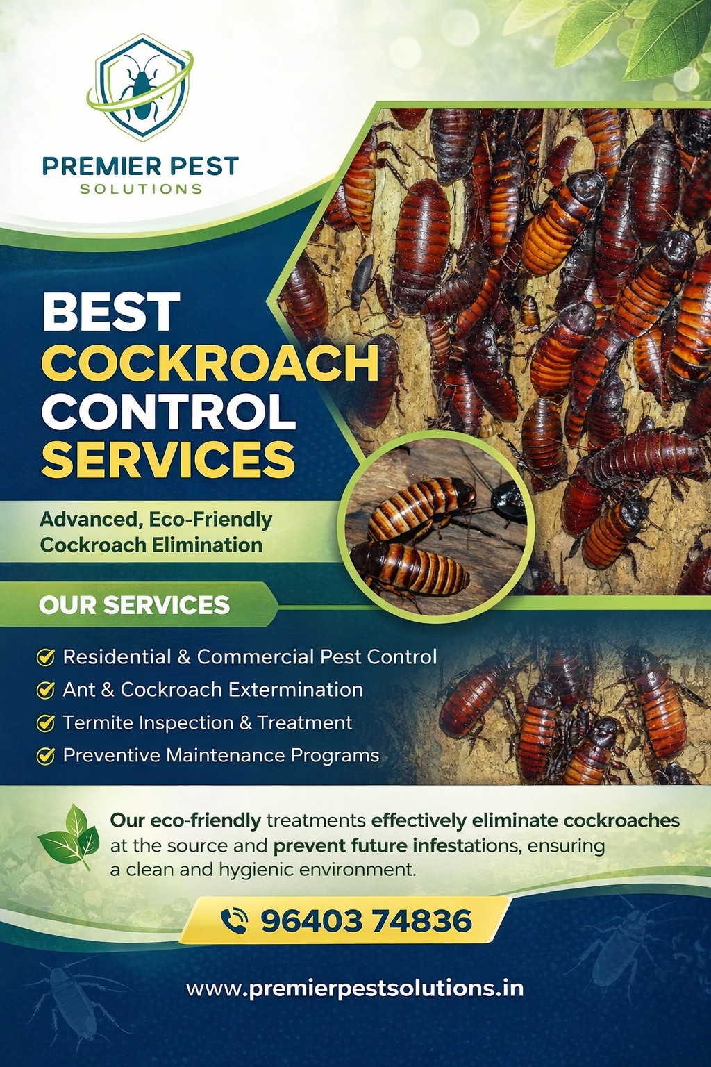 Cockroach Pest Control Services in Hyderabad for a Healthier Home
