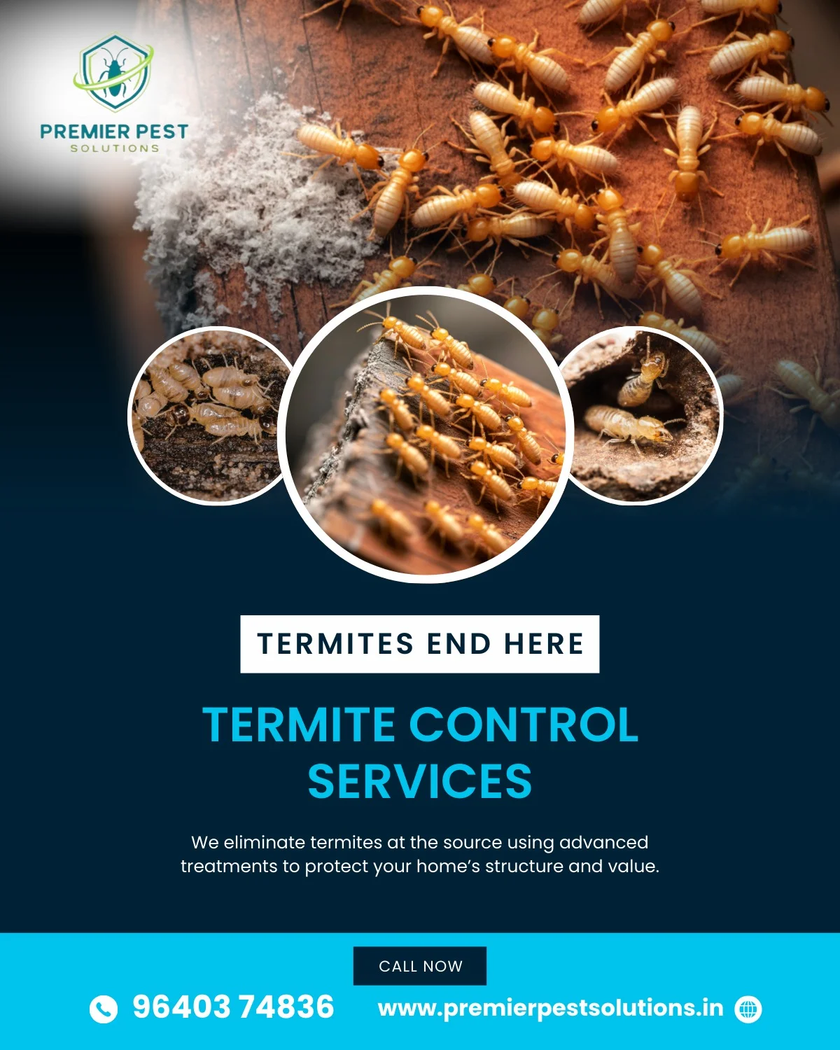 Looking for pest control services in Secunderabad