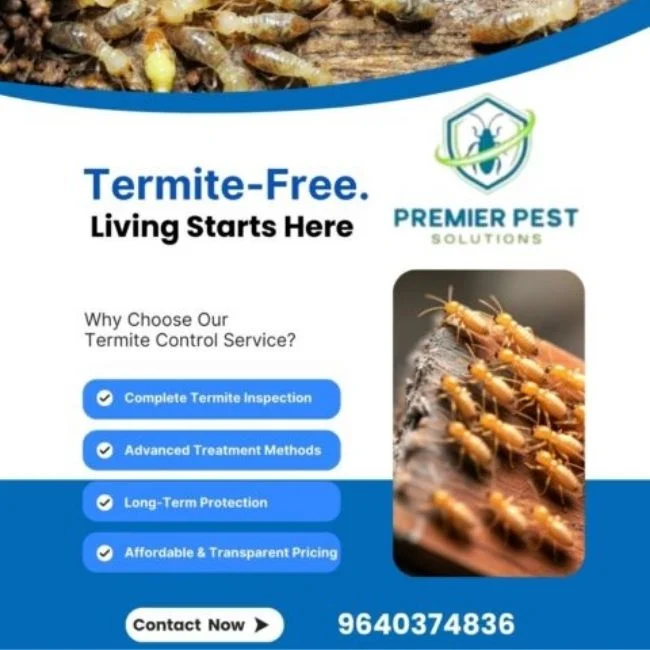 Ant Pest Control Hyderabad | Professional Ant Control Services
